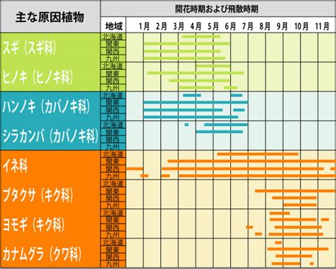 花粉症を引き起こす原因 | 花粉症特集 2021 | 病院検索 DDまっぷ - 私のドクターマップ