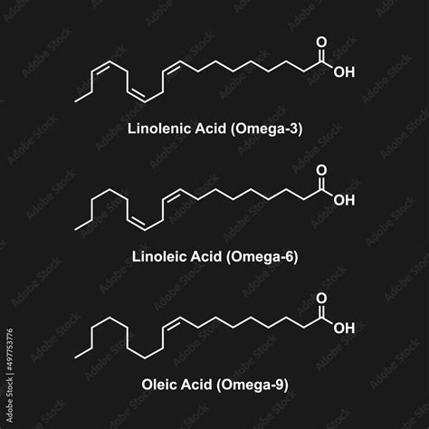 Chemical Structure Of Some Fatty Acids (Linolenic Acid, Linoleic Acid ...