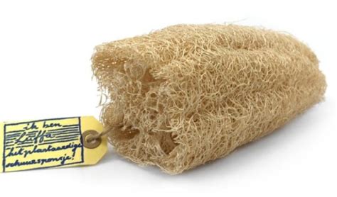 Luffa sponge - Trashless.earth