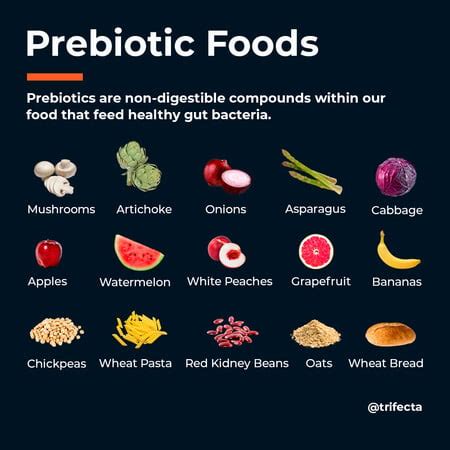 20 Prebiotic Foods To Support Digestive Health (2024)