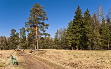 Early Spring stock photo. Image of landscape, drain, last - 29596914