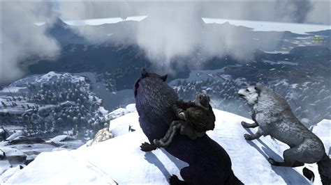 Image - ARK-Direwolf Screenshot 003.jpg | ARK: Survival Evolved Wiki | FANDOM powered by Wikia