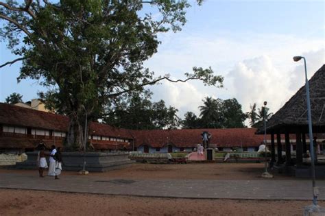 Ambalapuzha Sree Krishna Temple - Ambalapuzha