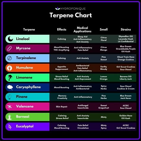 Different Types Of Weed Chart