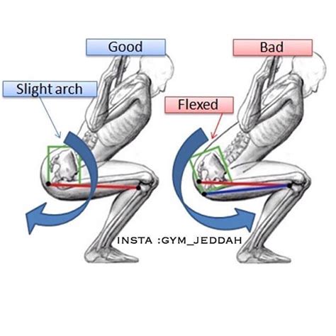 Pelvic Tilt and Squats: Butt Winking and Posterior Pelvic Tilt - [P]rehab