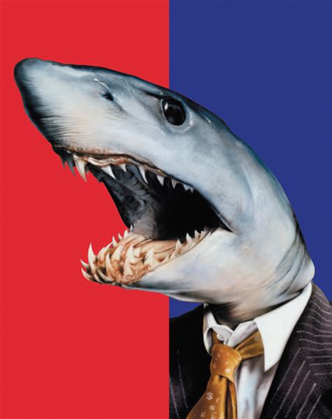 Shark - Stop Loan Sharks