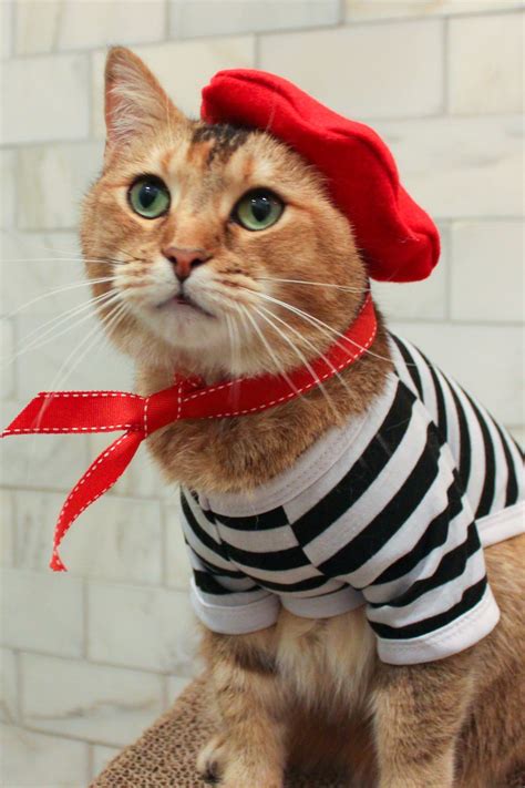 Complete French Cat Outfit Cat Beret Ascot and Striped Shirt - Etsy