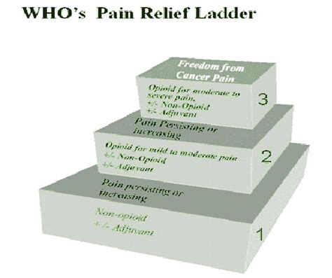 Pain Relief Ladder www.who.int/cancer/palliative/painladder/en ...