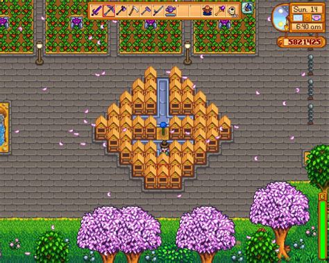 Optimal layout for honey in stardew valley - buyersloki