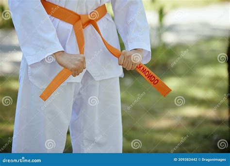 Taekwondo Athlete Tying Belt Stock Photo - Image of force, competition ...