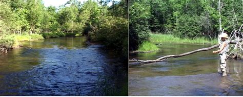 Fly Fishing On The Marias River, Montana - The Perfect Fly Store