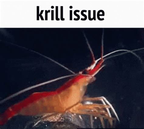 Krill Issue GIF - Krill Issue Skill Issue - GIF-ləri kəşf edin və paylaşın