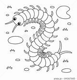 Millipede Coloring Pages sketch template