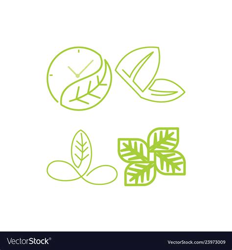 Leaf logo design template set Royalty Free Vector Image