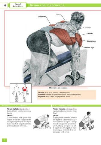 Enciclopedia de ejercicios de musculación by efdgq - Issuu