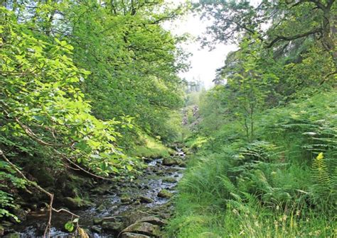 Walks Near Manchester: The Goyt Valley