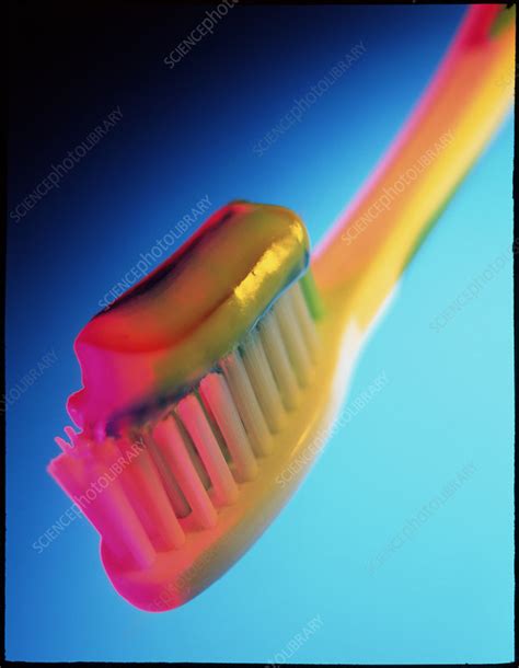 Close-up of toothpaste on a toothbrush - Stock Image - M985/0110 ...