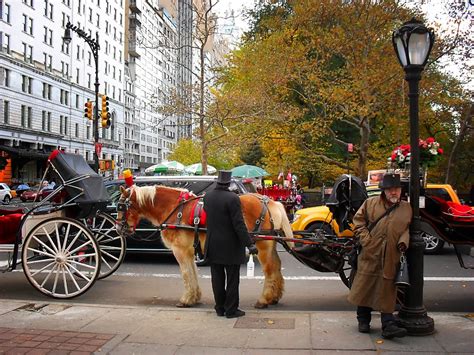 Carriage Rides in Central Park - Hellotickets