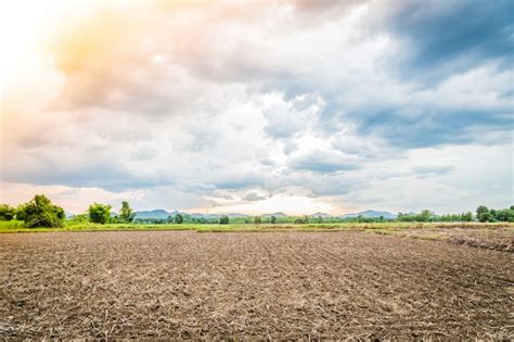 Paisagem da terra cultivada | Foto Grátis