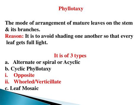 Leaf structure, adaptations, development