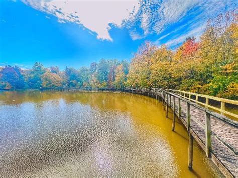 Cypress Grove Nature Park reopens after months of repairs - WBBJ TV