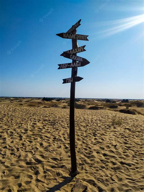 Premium Photo | The sand dunes in ukrainian desert oleshky sands