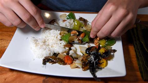 Cambodia 'bug cafe' serves up insect tapas