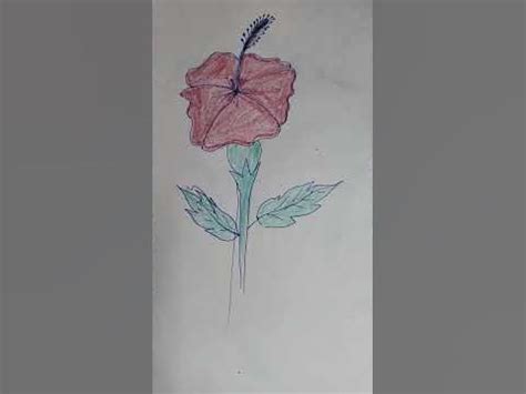 mandaram #drawing #flowers with color #shorts #trending #popular #viral ...