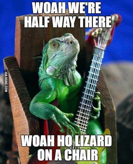 Lizard :3 | Funny lizards, Song memes, Funny puns