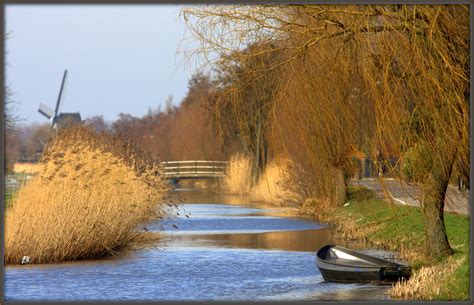 Traditional Dutch landscape by iaacf