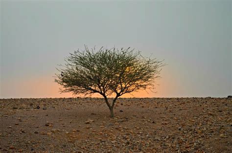 Jordan Photos | Spectacular Desert Sunset | Jessie on a Journey