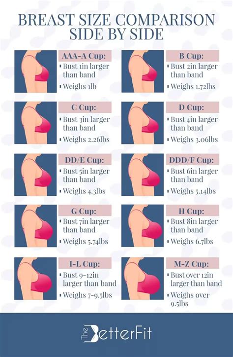 Breast Size Comparison Side by Side | Breast sizes chart, Bra size charts, Bra fitting guide