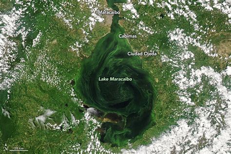 Lake Maracaibo is dying – Summaries of news and views OnVenezuela