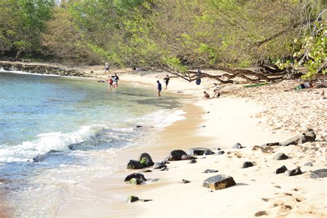 North Shore Wedding: Haleiwa Beach Park