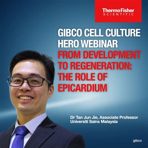 Thermo Fisher Scientific on LinkedIn: Gibco Cell Culture Hero Webinar: From Development to ...