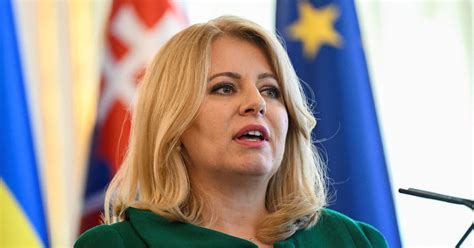 Slovakia's president sues leading party's chief before election | Reuters