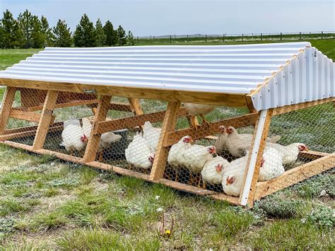 Chicken Tractor • The Prairie Homestead