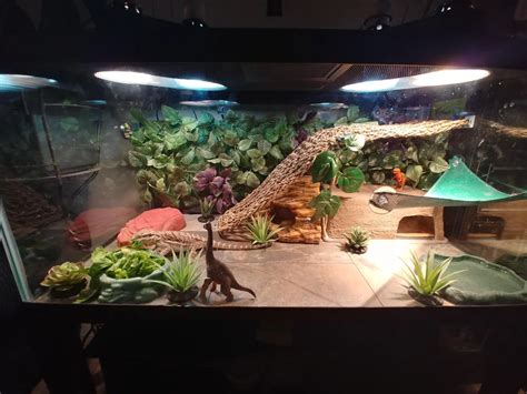 Diy Bearded Dragon Enclosure Materials - DIY Bearded Dragon Enclosure ...