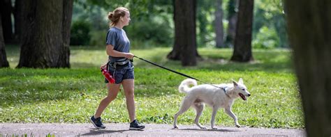 Dog Trails | Three Rivers Park District