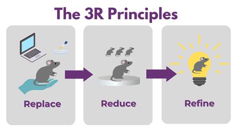 Introduction to 3R's Animal Research - Scintica