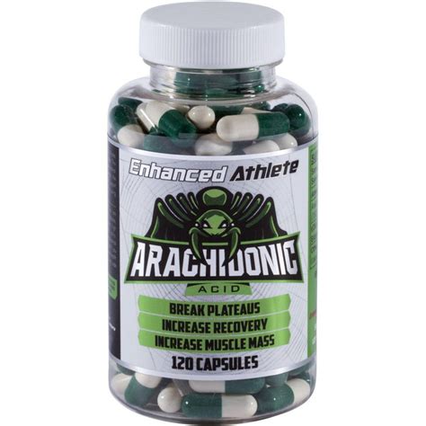 Arachidonic Acid Supplement Review