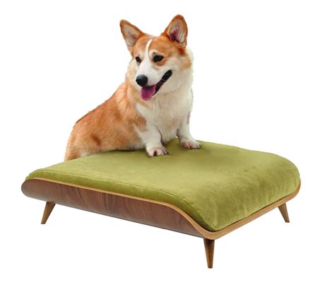 Cairu Design Modern Dog Beds