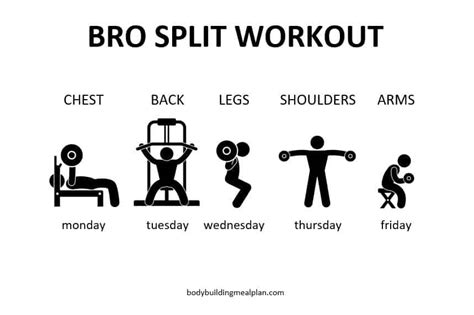 Best Split Workout Routine For Beginners | EOUA Blog