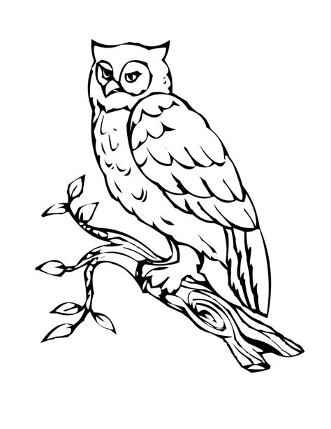 Free Printable Owl Coloring Pages For Kids