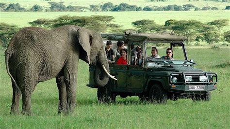 Kenya Family Safari - 11 Days Luxury Kenya Family Safari Ideal for Kids