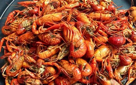 Louisiana Cuisine: You Can't Miss these 15+ Dishes!