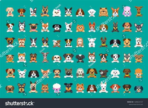 Dog Breed Faces: Over 47,489 Royalty-Free Licensable Stock Vectors ...