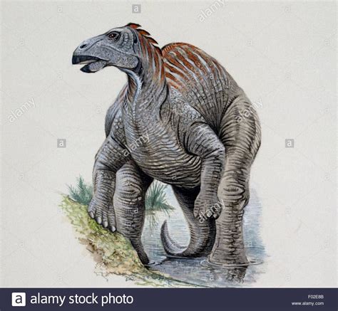 Stock Photo - Telmatosaurus transsylvanicus, Hadrosauridae, Late Cretaceous. Illustration ...