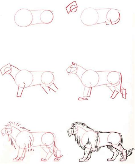 Lion | Lifeandhealth | Life and Health | Animal drawings, Drawing tutorial, Sketches