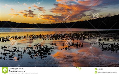 September 1, 2016, Skilak Lake, Spectacular Sunset Alaska, the Aleutian ...